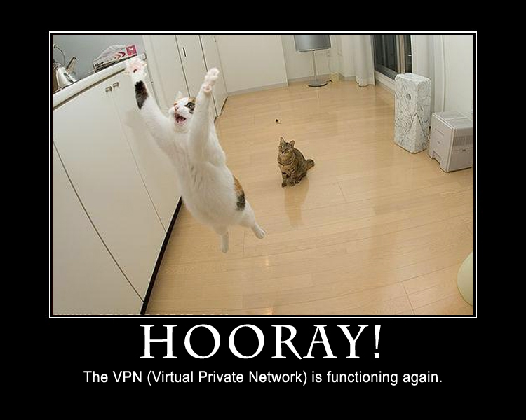 Hooray! The VPN is functioning again